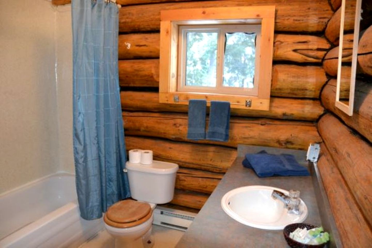Cozy Log Cabin with Ranch Animal Encounters & Private Wilderness Trails near Gold Bridge, British Columbia