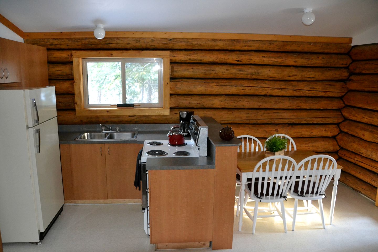 Cozy Log Cabin with Ranch Animal Encounters & Private Wilderness Trails near Gold Bridge, British Columbia