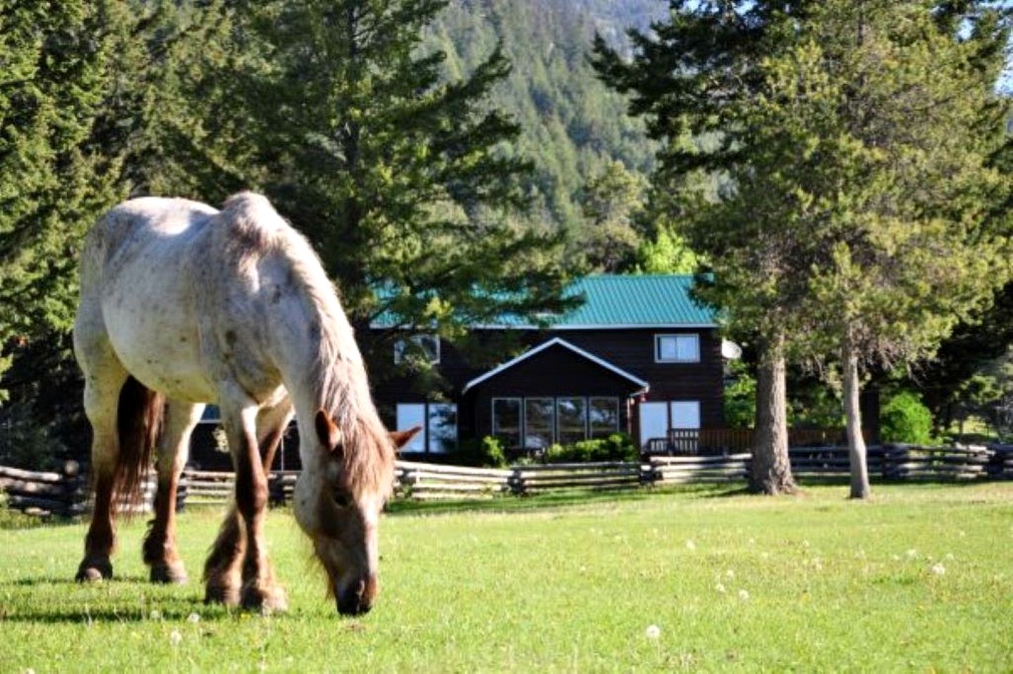 Unplug and Unwind at a Rustic Ranch House Escape in British Columbia, Canada