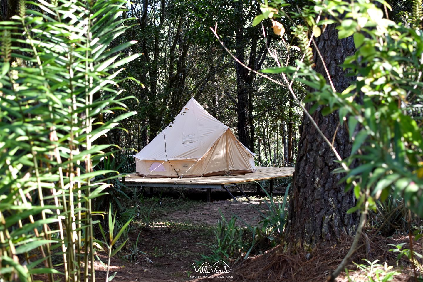 Peaceful Glamping Retreat with Elevated Forest Platforms near Perquín, Morazán, El Salvador
