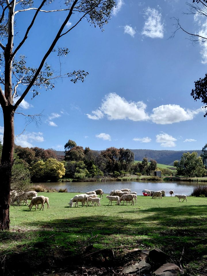 Boutique Glamping Escape with Fireplace & Alfresco Dining in Victoria, Australia