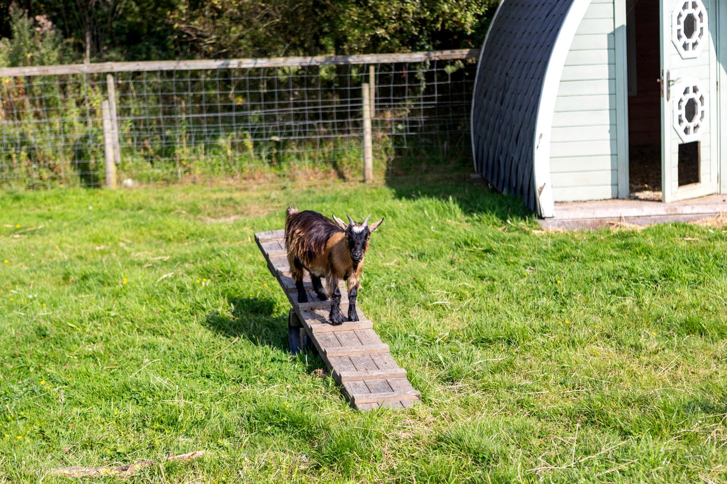 Bell Tent with Woodland Views & Wood-Fired Hot Tub in England, United Kingdom