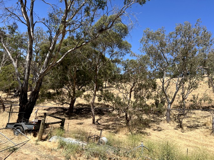 Cabins (Australia, --, South Australia)