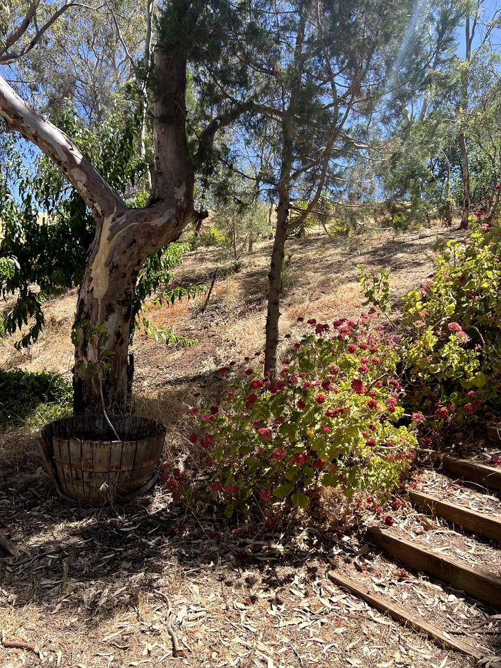 Peaceful Country Studio Escape with Horses, Wildlife Views & Slow Mornings in South Australia, Australia