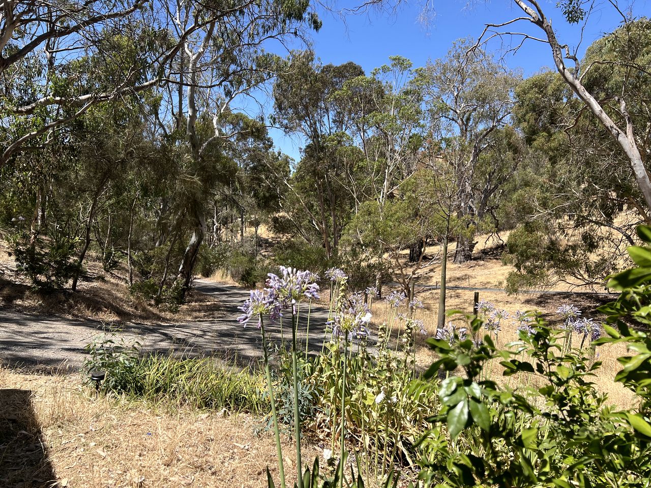 Peaceful Country Studio Escape with Horses, Wildlife Views & Slow Mornings in South Australia, Australia