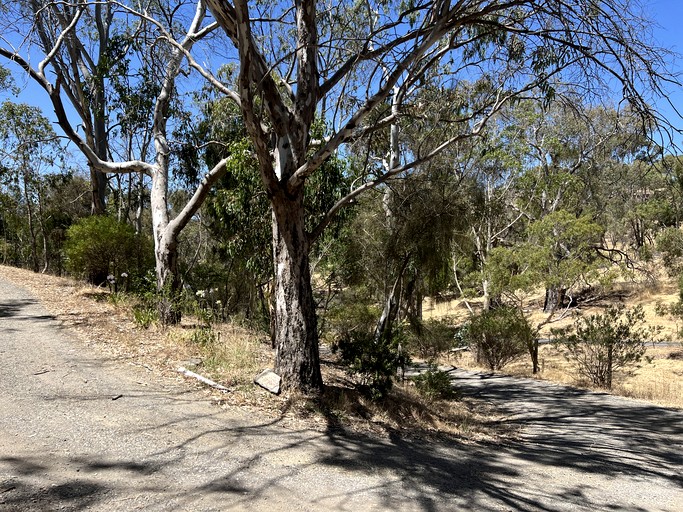 Cabins (Australia, --, South Australia)