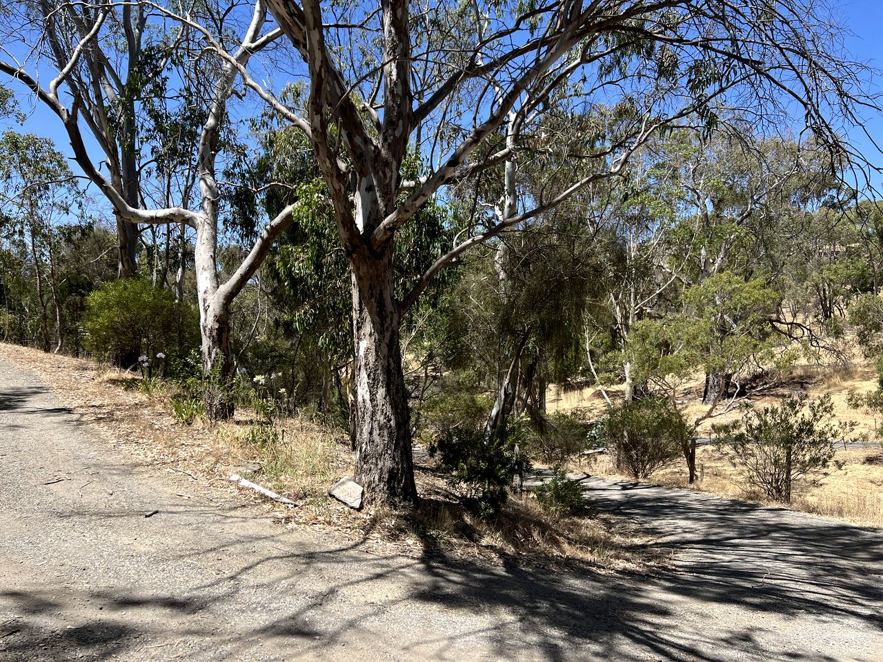 Peaceful Country Studio Escape with Horses, Wildlife Views & Slow Mornings in South Australia, Australia