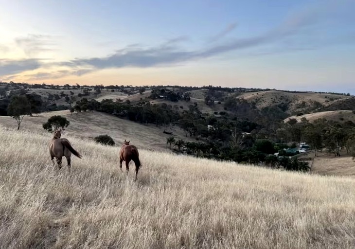 Cabins (Australia, --, South Australia)