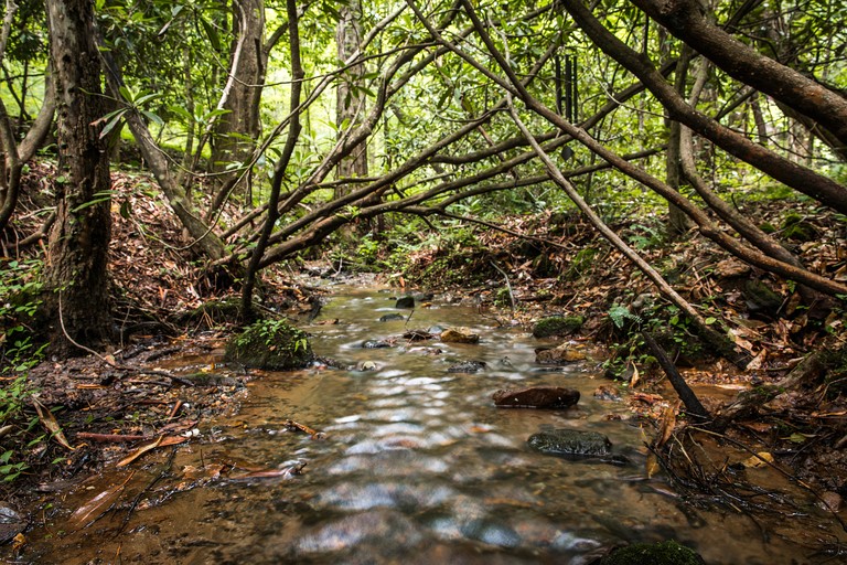 Cabins (United States of America, --, Georgia)