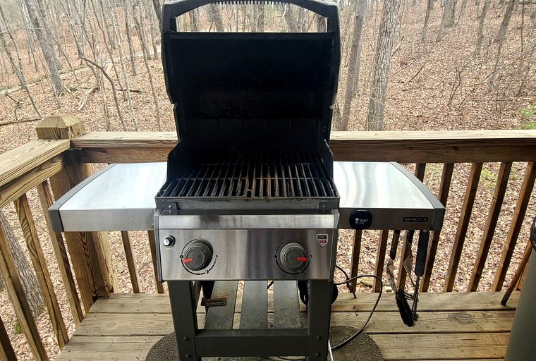 Cabins (United States of America, --, Georgia)