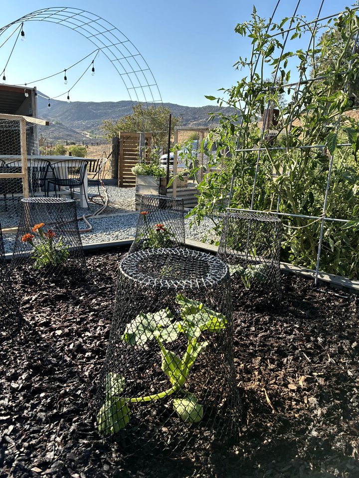 Unplug in a Rustic-Chic Tiny Home: Stargazing Patio, Cookout Space & Nature Views in Aguanga, California