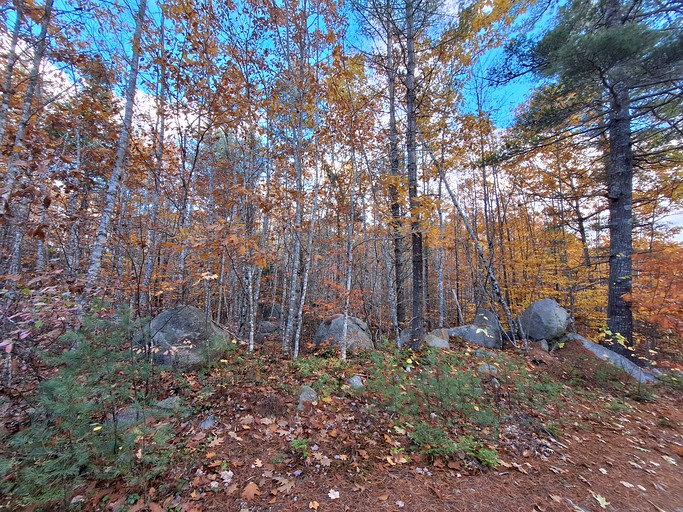 Cabins (United States of America, Beddington, Maine)