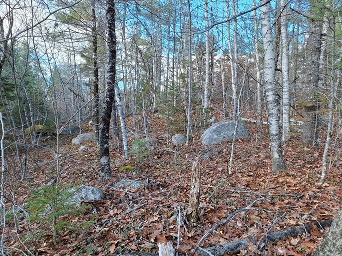 Cabins (United States of America, Beddington, Maine)