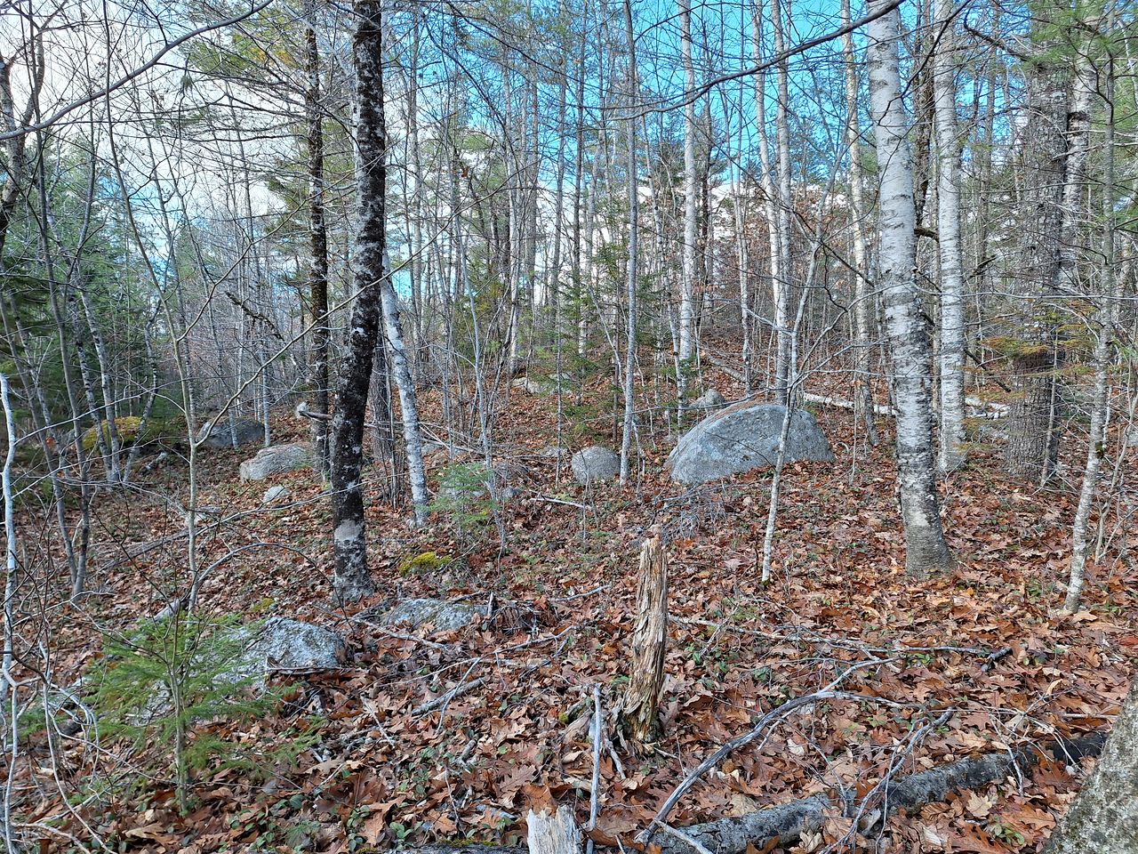 Unplug and Reconnect in a Peaceful Off-Grid Cabin for Relaxation and Nature Immersion in Beddington, Maine