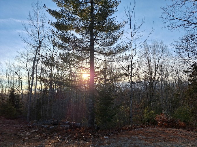 Cabins (United States of America, Beddington, Maine)