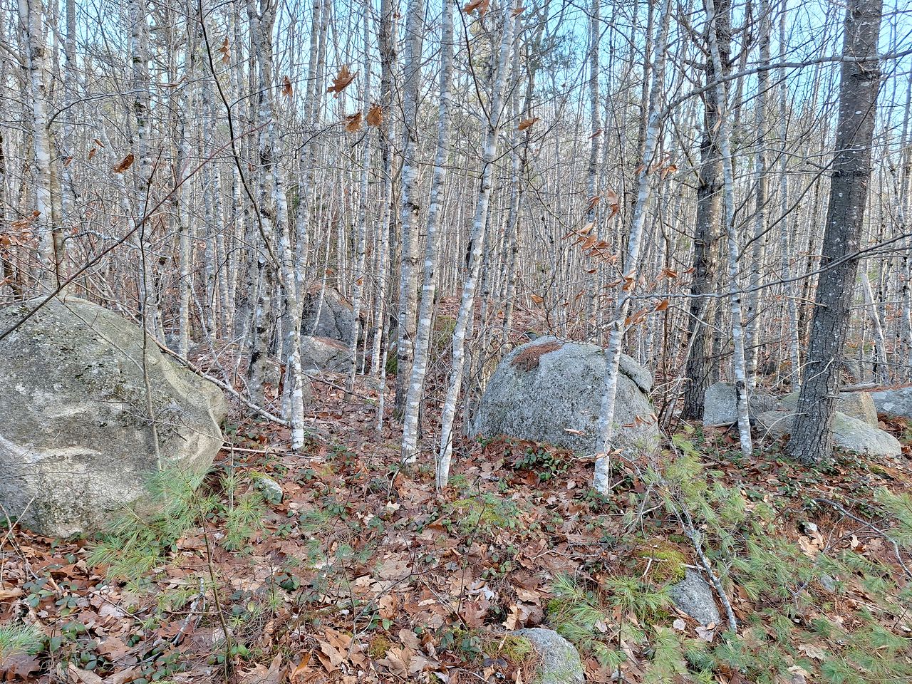 Unplug and Reconnect in a Peaceful Off-Grid Cabin for Relaxation and Nature Immersion in Beddington, Maine