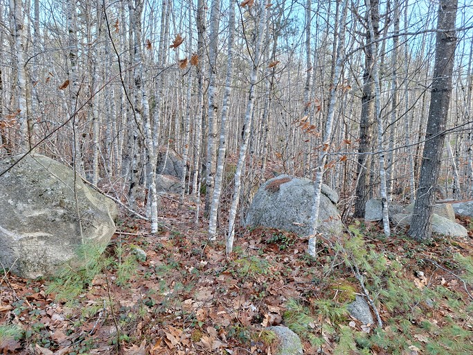 Cabins (United States of America, Beddington, Maine)