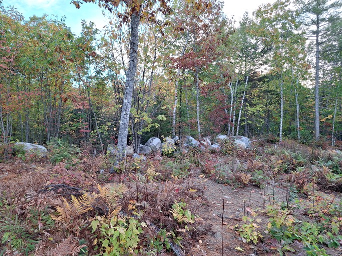 Cabins (United States of America, Beddington, Maine)