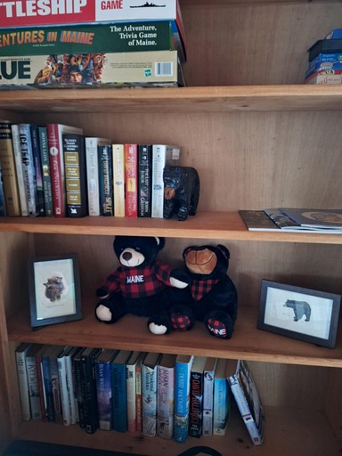 Cabins (United States of America, Beddington, Maine)