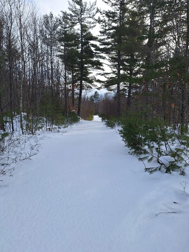 Cabins (United States of America, Beddington, Maine)