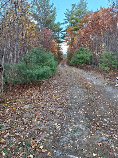 Cabins (United States of America, Beddington, Maine)