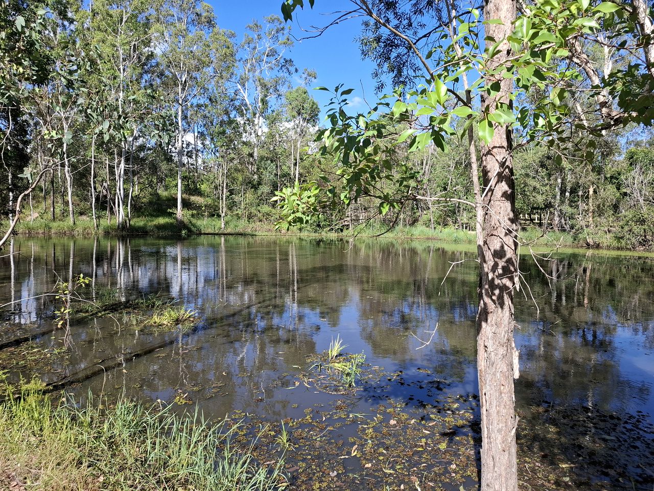 Country Farm Escape with Petting Animals, Playground & Pool in Queensland, Australia
