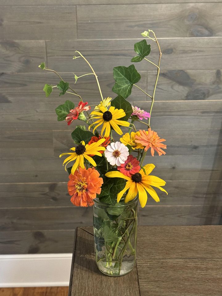 Peaceful Farmstead Cottage with Creekside Views Near Iron Station, North Carolina