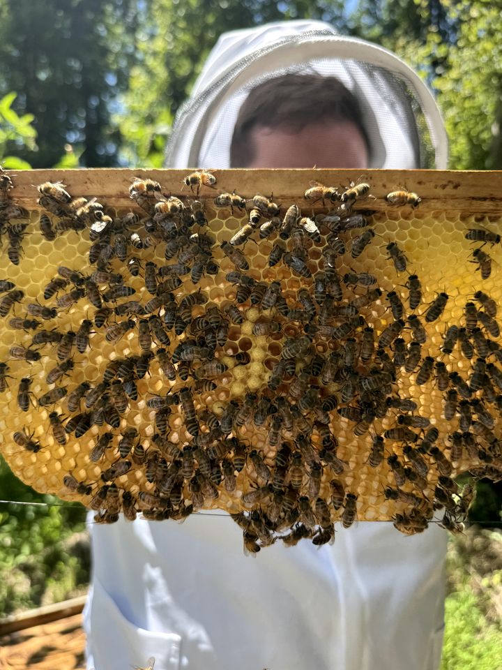 Peaceful Farmstead Cottage with Creekside Views Near Iron Station, North Carolina