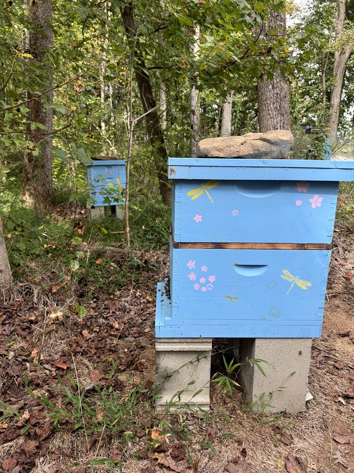 Peaceful Farmstead Cottage with Creekside Views Near Iron Station, North Carolina
