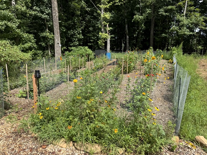 Cottages (United States of America, --, North Carolina)