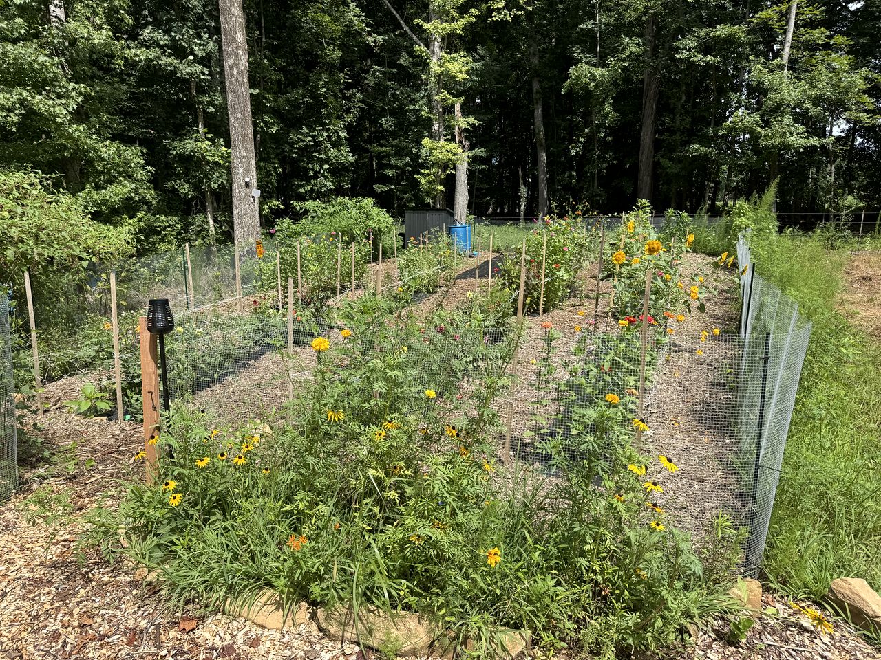 Peaceful Farmstead Cottage with Creekside Views Near Iron Station, North Carolina