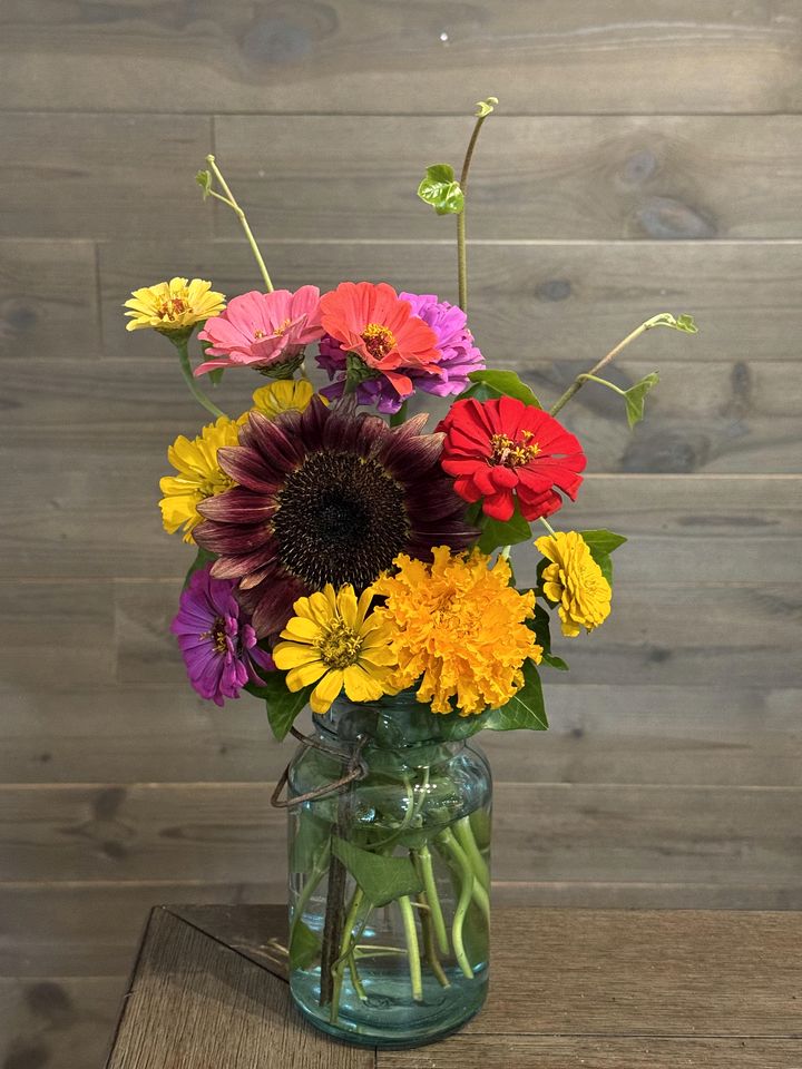 Peaceful Farmstead Cottage with Creekside Views Near Iron Station, North Carolina