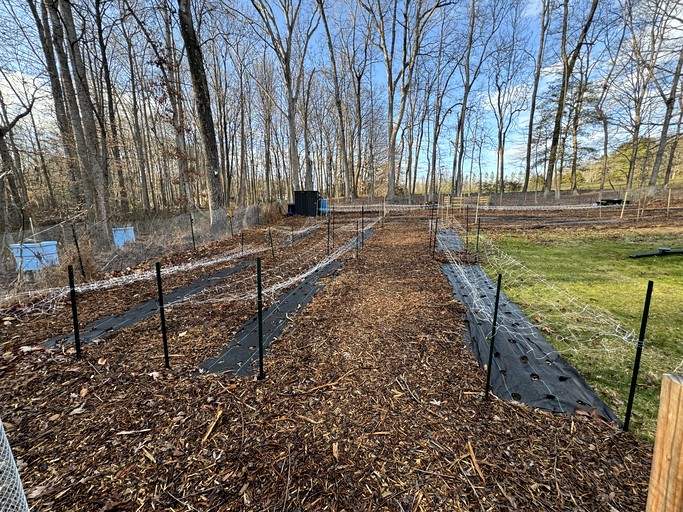 Cottages (United States of America, --, North Carolina)