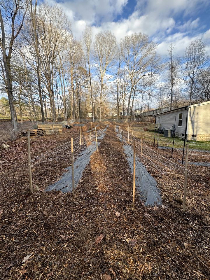 Peaceful Farmstead Cottage with Creekside Views Near Iron Station, North Carolina