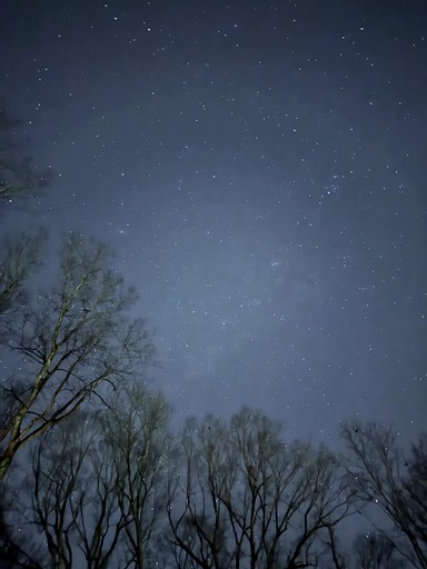 Cottages (United States of America, --, North Carolina)