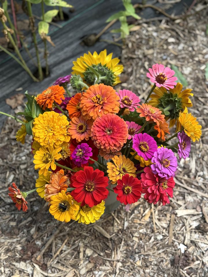 Peaceful Farmstead Cottage with Creekside Views Near Iron Station, North Carolina
