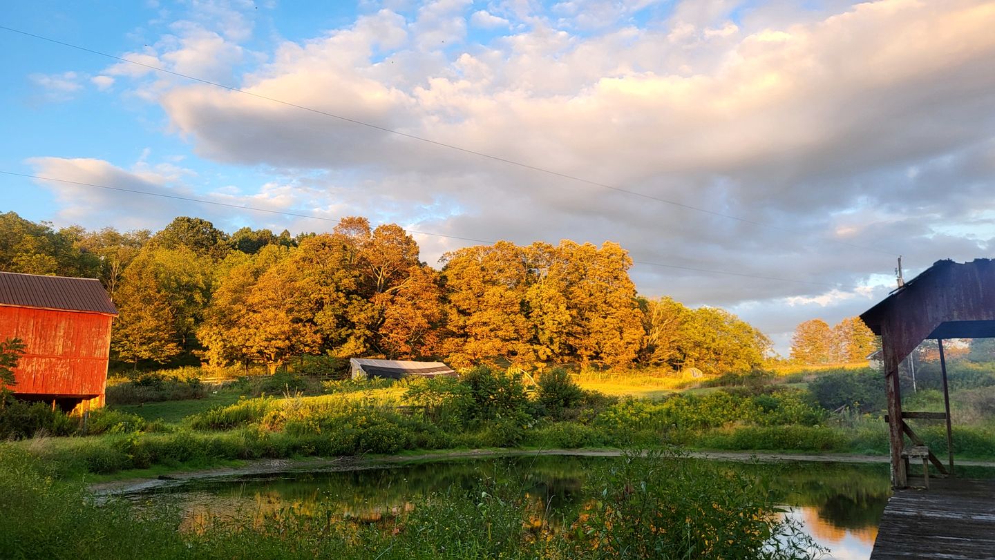 Coastal Style Bus Farm Retreat with Pond Dock and Peaceful Nature Views in Stillwater, Pennsylvania