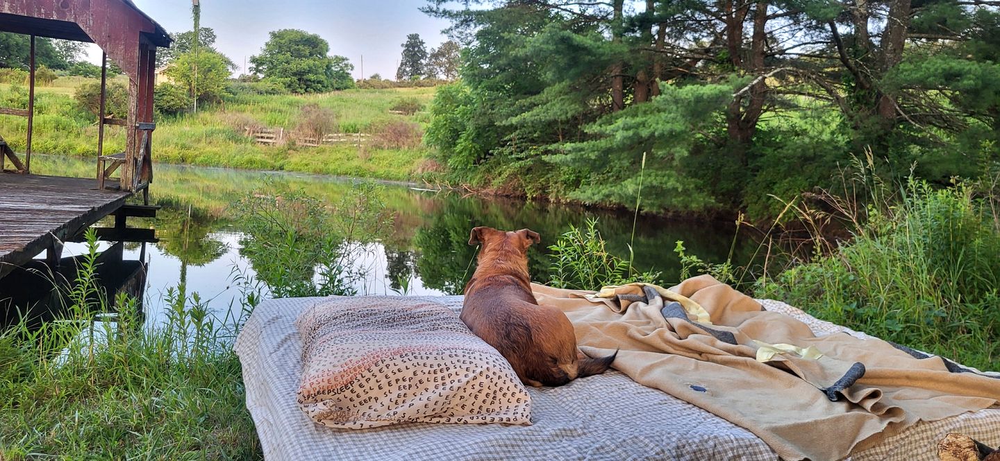 Coastal Style Bus Farm Retreat with Pond Dock and Peaceful Nature Views in Stillwater, Pennsylvania