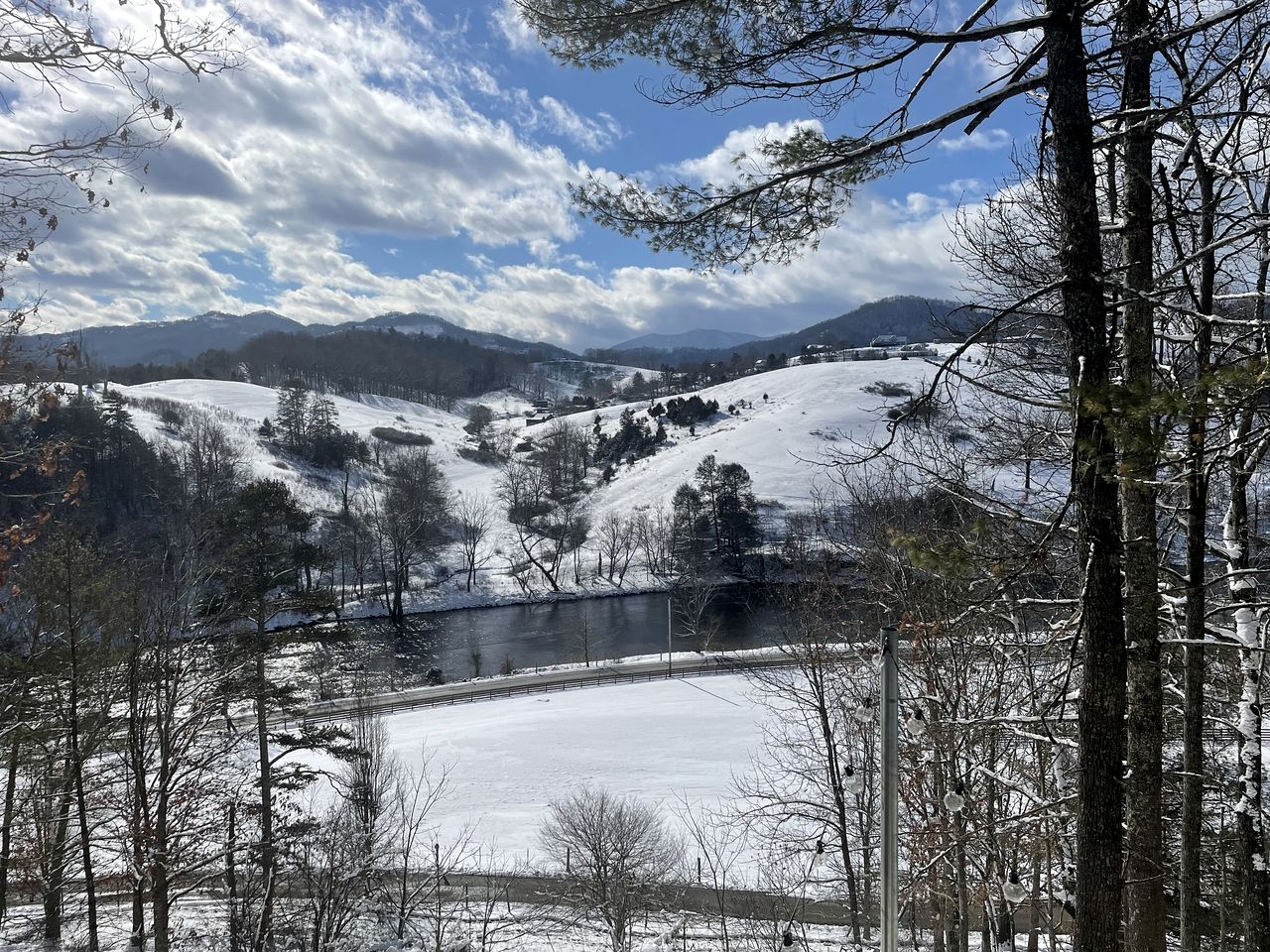 Rustic-Modern Log Cabin Getaway: Family-Friendly, Quiet Ranch, Wildlife at Your Door in Clyde, North Carolina