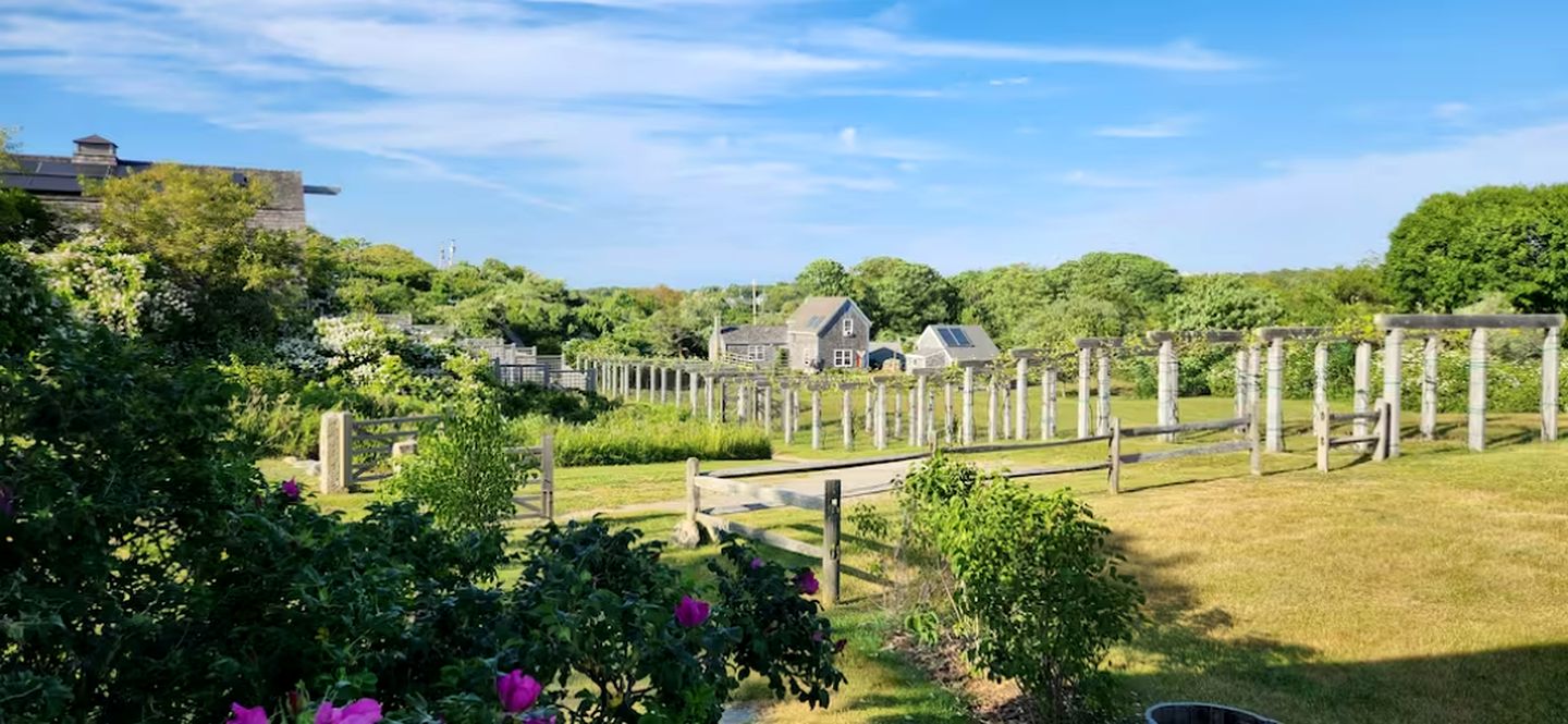 Chic Rustic Cottage Overlooking the Vines with Gorgeous Views on Block Island, Rhode Island