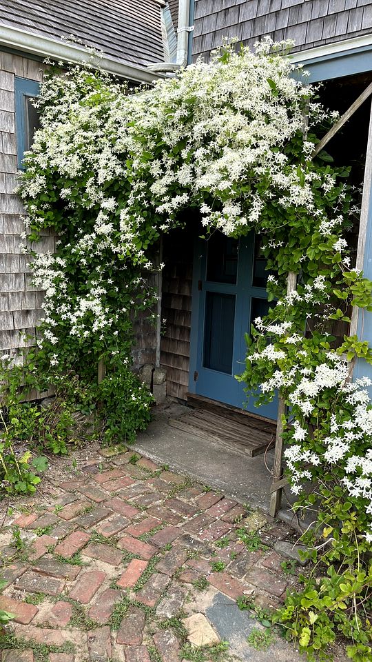 Chic Rustic Cottage Overlooking the Vines with Gorgeous Views on Block Island, Rhode Island