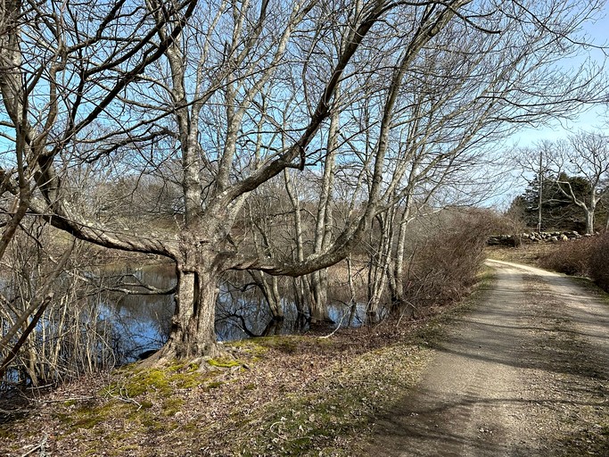 Cottages (United States of America, New Shoreham, Rhode Island)