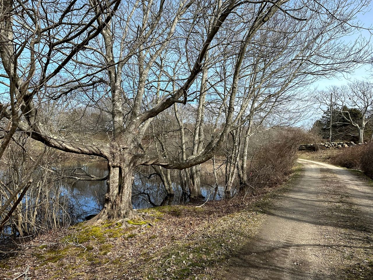 Chic Rustic Cottage Overlooking the Vines with Gorgeous Views on Block Island, Rhode Island