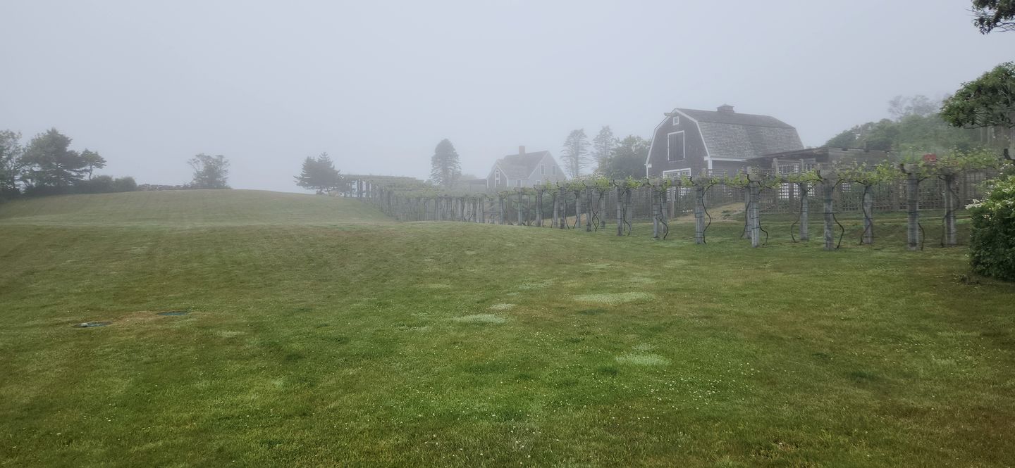 Chic Rustic Cottage Overlooking the Vines with Gorgeous Views on Block Island, Rhode Island
