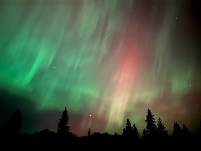 Cabins (United States of America, Polebridge, Montana)