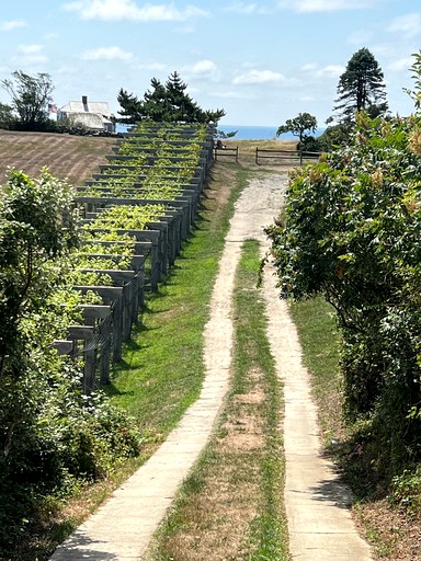 Cottages (United States of America, New Shoreham, Rhode Island)