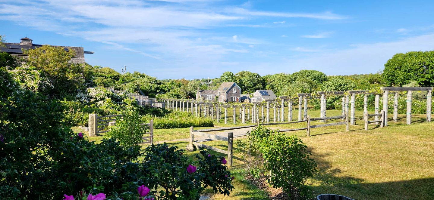 Peaceful Ocean-View Cottage on a Family Farm with Patio on Block Island, Rhode Island