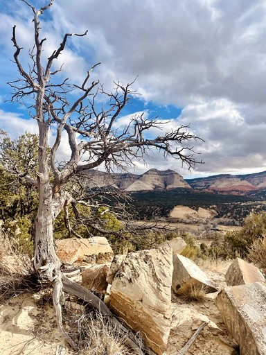 Cabins (United States of America, Mount Carmel, Utah)