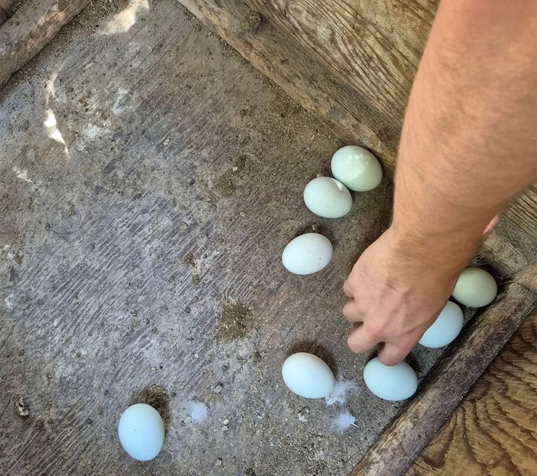 Spacious Lakeside Escape with Picnic Shelter, BBQs & Outdoor Adventures in Ontario, Canada