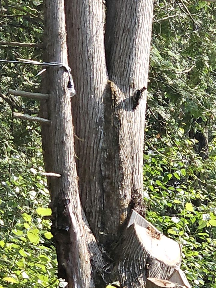 Cozy Wilderness Hideaway with Scenic Trails, Wildlife Views & Starry Nights in Quebec, Canada